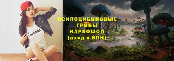 соль курить ск Няндома