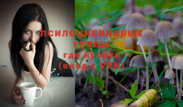 MDMA Нязепетровск