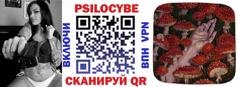 Галлюциногенные грибы MAGIC MUSHROOMS  KRAKEN онион  Ардатов 