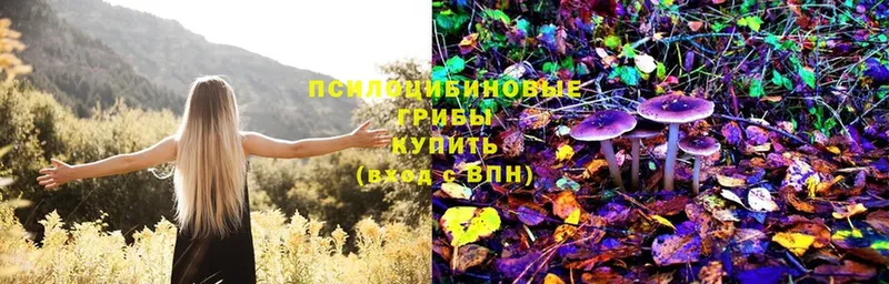Галлюциногенные грибы MAGIC MUSHROOMS  Ардатов 